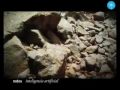 Documental. El Futuro. La Fusión del Alma y la Tecnología. Parte 3 de 3