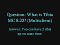 Tibia MC 8.22 (http://www.speedyshare.com/231881530.html)