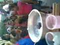 videos de algodones de azucar en tu fiesta