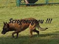 Orca en Ob�issance
