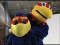 Jayhawk mascot photo shoot Jayhawk mascot photo shoot