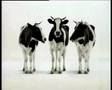 Die Milch machts