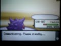 flashfox vs Pure of Heart (Elise) Pokemon Diamond Pearl Wifi
