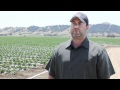 What Does The Future Hold For Uesugi Farms?