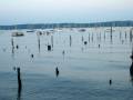 videos de Nyack Waterfront