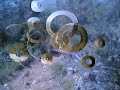 La m�stica del Enduro (f out)