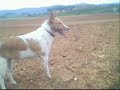 AIXA AIXA