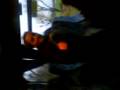 Amine && Yvan && Laure dans le car en fesant le phoque mdr
