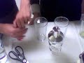 Drinky Time Part 1