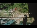 Last Life In The Universe (Japan trailer)