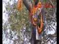 Video View Of Darbhanga