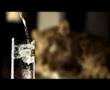 Schweppes gece safarisi