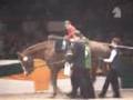 Trakehner 2007