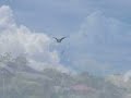 aswang ? manananggal?      mythological filipino creature