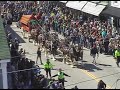 Clydesdales in Mystic CT