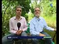 Les mauves de Meung sur Loire sur Fr3 Les mauves de Meung sur Loire sur Fr3