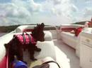 Maggie goes boating