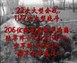 伟大的中国卫国战争 -- 华夏忠魂