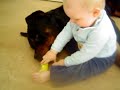 *EDIT: Gibson is gone 1/7-08,cancer took him away from us R.I.P, Love you always my friend* Rottweiler&amp;baby the real side of Rottweilers friendlines #2