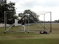 cricket cricket