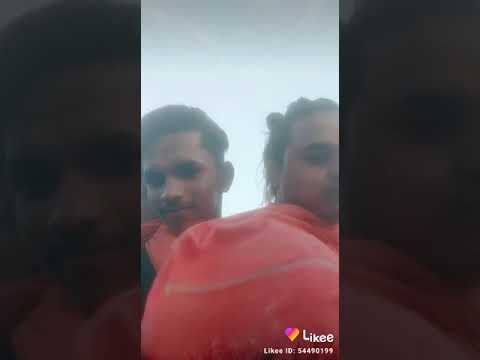 動画