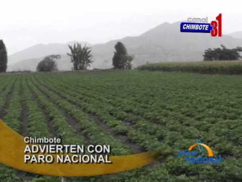 Ver video