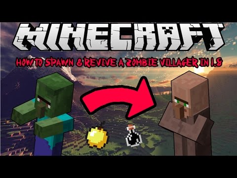 how to cure villager zombie