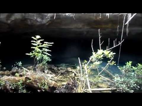 grand national results