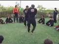 kungfutoa