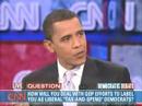 Liberal \"Tax-and-Spend\" Democrats Liberal \"Tax-and-Spend\" Democrats