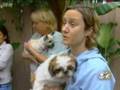 CBS News: Rescued Puppy-Mill Dogs To Be Spayed, Neutered