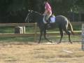videos de Cole Trotting and Stretching