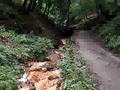 Srebrenica - zeljezna voda GUBER