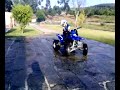 faninho 2008