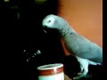 Max\