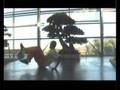 videos de Fahem trailer 2008