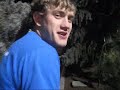 tage walks dogs