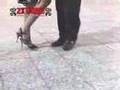 Alejandro Hermida y Silvana Anfossi bailan en Sunderland
