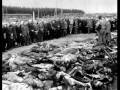 Auschwitz The Horrors