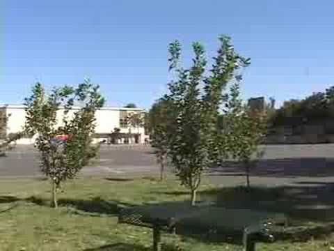 how to harvest a shrub of pears in smurf