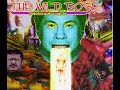 The Wild Roses （野バラ咲く路） -Funky Kiiteirunokane Mix-
