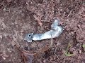 Black Powder Bomb in Cinder Block Black Powder Bomb in Cinder Block