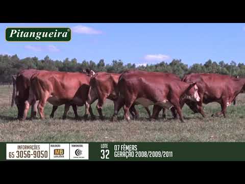 2 DE OLHO NA FAZENDA GRUPO PITANGUEIRA