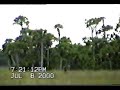 Skunk Ape