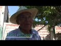 Huerta en la ciudad Huerta en la ciudad