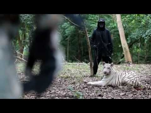 WHITE TIGER