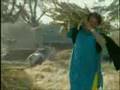APNA PUNJAB