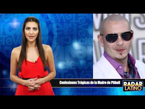 pitbull