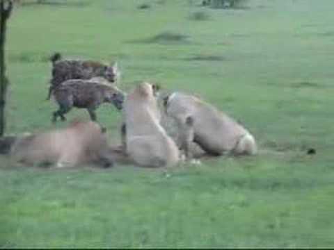 Serengeti National Park with ...