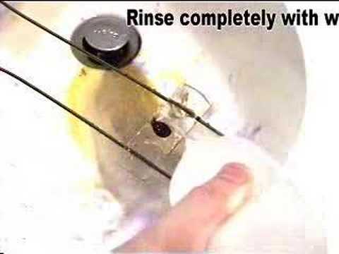 Gram Stain Procedure